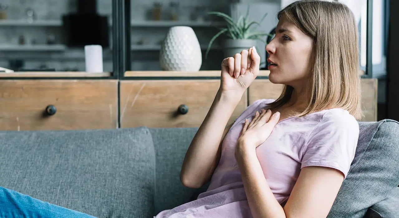 Allergiker Sofa: Welche Couch ist die richtige für mich?