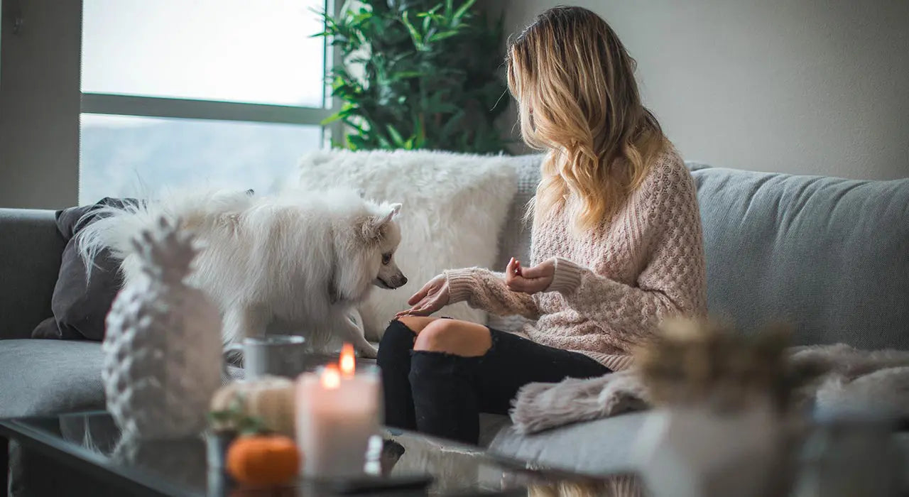 Unangenehme Gerüche aus dem Sofa entfernen: Die besten Tipps & Tricks